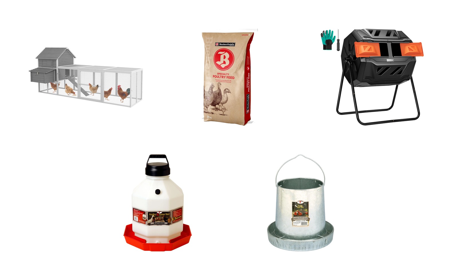 Urban Chicken Starter Bundle — 6 Hens, 6 Months